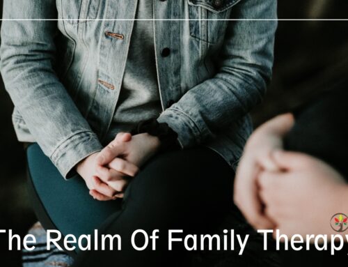 Exploring the Realm of Family Therapy: Insights and Impacts